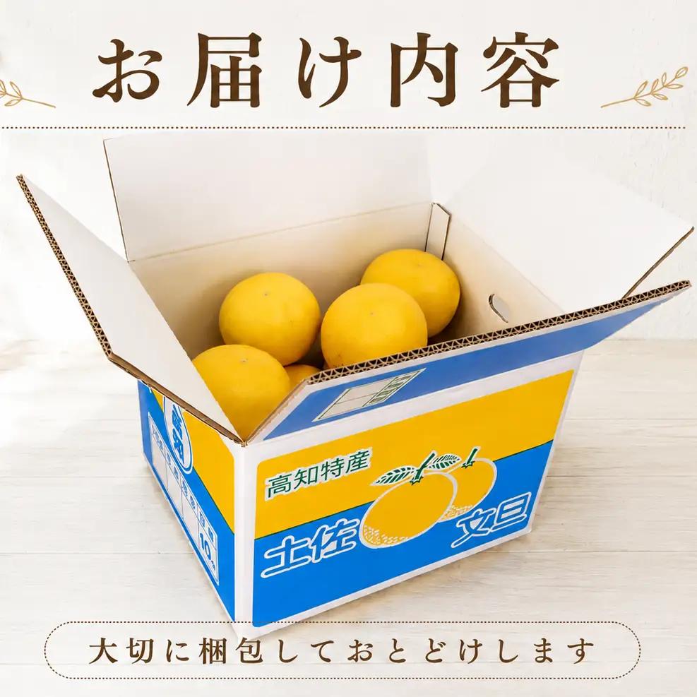 文旦 10kg 家庭用 中井農園