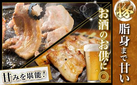 宮崎牛&黒豚バラ焼肉セット(合計1kg)_AC-N405_(都城市) 宮崎県産宮崎牛 都城産黒豚  バラ焼肉用 各500g×1P セット 焼肉用カット 焼肉 BBQ 冷凍