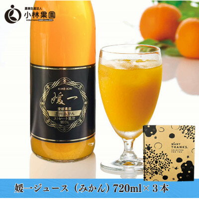 【ふるさと納税】媛一ジュース720ml×3本セット(温州みかん)・果汁100%ストレートジュース【D24-36】【1645178】