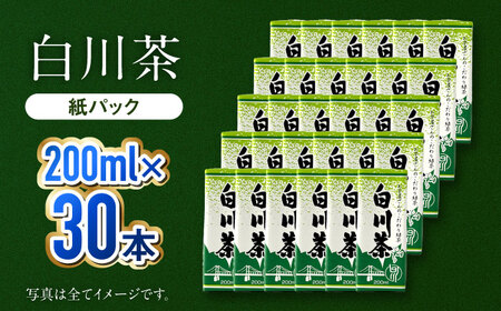 白川茶紙パック 200ml×30本入 緑茶 お茶 紙パック 200ml ケース 白川町 / 白川園本舗[AWAT010]