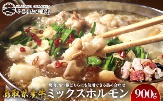 73.鳥取県産牛 ミックスホルモン 900g【国産 焼肉 肉 にく 鳥取県 北栄町 おすすめ 人気】