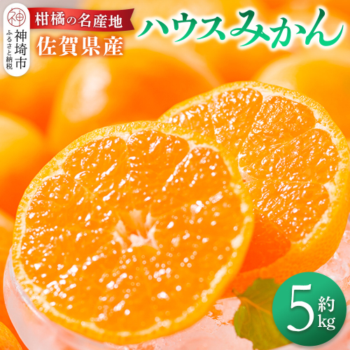 【先行受付 令和7年6月より発送】佐賀県産『ハウスみかん』約5000g【果物 フルーツ みかん 柑橘 ビタミン デザート ふるさと納税】(H108116)