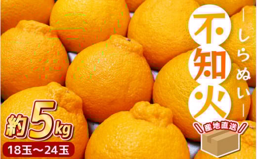 ＼ みかんの名産地 和歌山県産／ 農家直送 不知火 約5kg(18～24玉) ひとつひとつ手選別で厳選【2026年2月中旬～3月下旬ごろに順次発送予定】【hdm002A】
