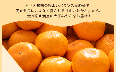 柑橘 山北みかん 大玉サイズ L・2L混合 約5kg 柑橘 yk-0079