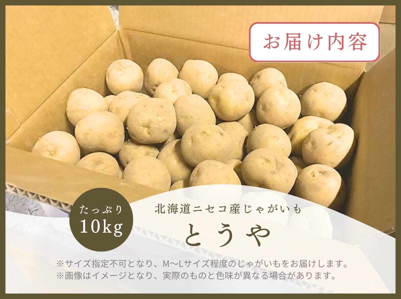 《2026年分受付中》なめらかな舌触りに感動!北海道ニセコ名産「とうや」新じゃが10kg/高橋農園【3700601】