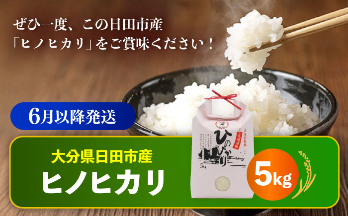 【先行予約・26年6月以降発送】令和7年産大分県産ヒノヒカリ 5kg　日田市 / JAおおいた日田グリーンセンター こめ コメ 米 [ARDX012]