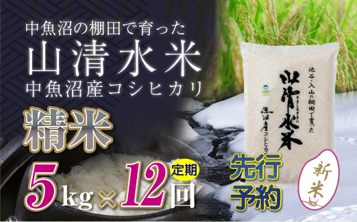 【先行新米予約】【定期便／全12回】精米5kg　新潟県魚沼産コシヒカリ「山清水米」十日町市 米