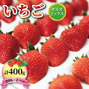 【ふるさと納税】 いちご 1種 400g ( 200g × 2 ) 6~12月お届け 品種おまかせ フルーツ 果物 苺 イチゴ なつあかり 信大BS8-9 夏のしずく 夏の輝 すずあかね リアスター夏苺 夏いちご 三陸産 大船渡 国産 期間限定 季節限定 9000円 9千円