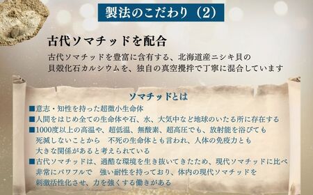 極楽塩の普及版 天日干し2年 火入れしない生の塩 「酵素塩」 1kg×2袋 貝カルシウム ソマチッド入り 自然の力をもっと手軽に こだわりの製法 塩 食塩 食卓塩 海塩 調味料 ミネラル ソルト