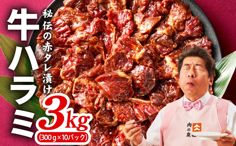 099H4053 【TVで紹介！】牛ハラミ肉 3kg（300g×10）秘伝の赤タレ漬け 訳あり サイズ不揃い