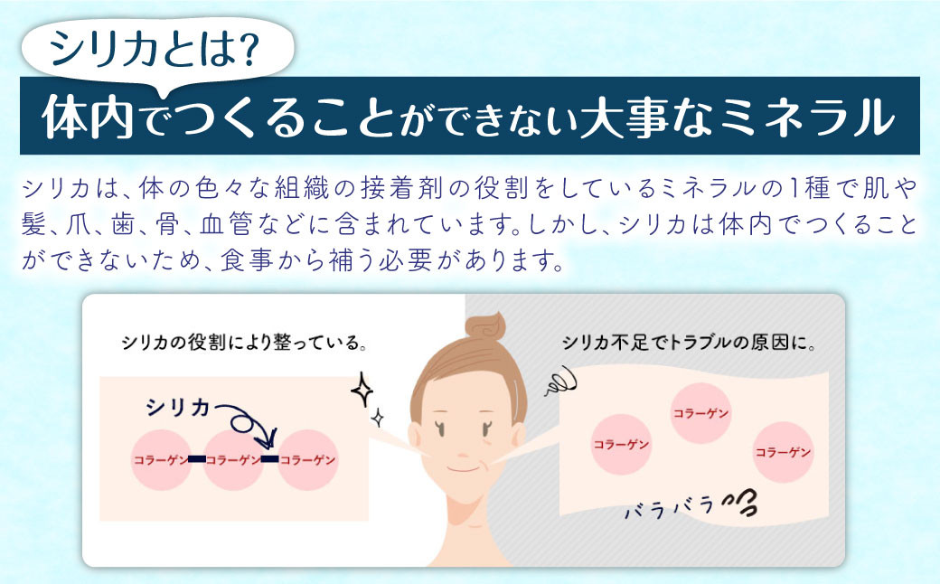 【6ヶ月定期便】阿蘇くじゅうの天然水 525ml PET 48本 (24本×2ケース)×6ヶ月 シリカ水 軟水 ラベルレス 水 天然水