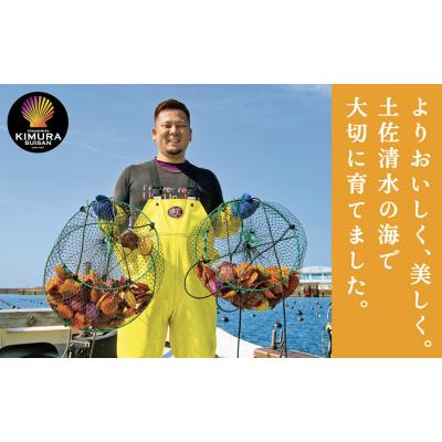 ふるさと納税 土佐清水市 冷凍 ヒオウギ貝 8個セット ホタテの仲間  真空パック BBQ 海鮮バーベキュー【R00802】 |  | 02