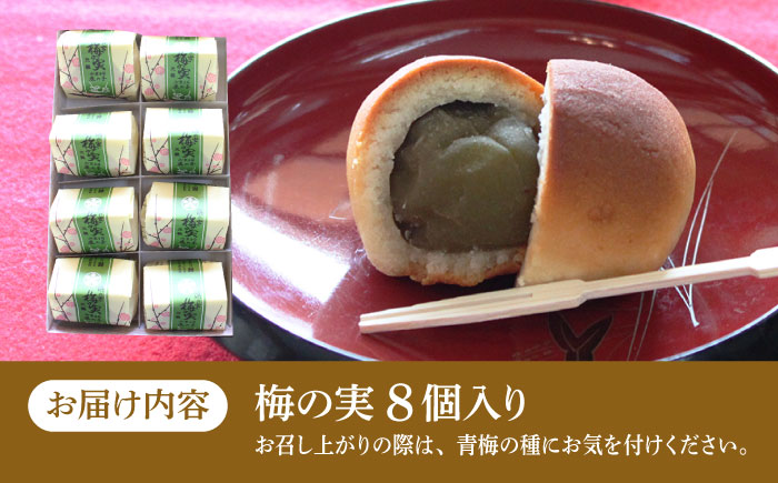 【老舗の菓子屋】築上銘菓「 梅の実 」8 個《築上町》【有限会社 御菓子司 鹿の子】 [ABAC016]