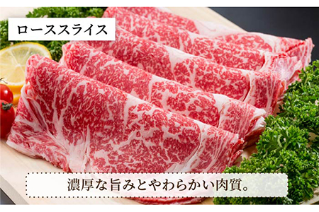 【肉のプロが厳選！】【全6回】佐賀県産和牛 極上定期便【株式会社いろは精肉店】 [IAG072]