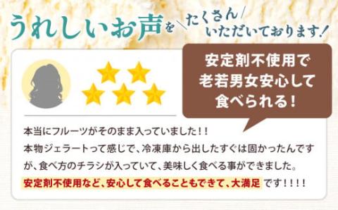 近江の果実ごろごろジェラート　（６個セット）　A39　かなめカフェ