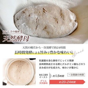 天然酵母食パンセット 3種 お試し パンパンパンパン