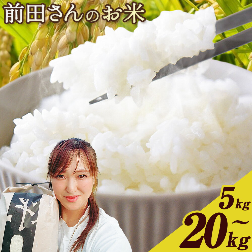 【ふるさと納税】白米 前田さんのお米 選べる 5kg 10kg (5kg×2) 20kg (10kg×2) 前田農園 《10月末-1月末頃出荷》 和歌山県 紀の川市 米
