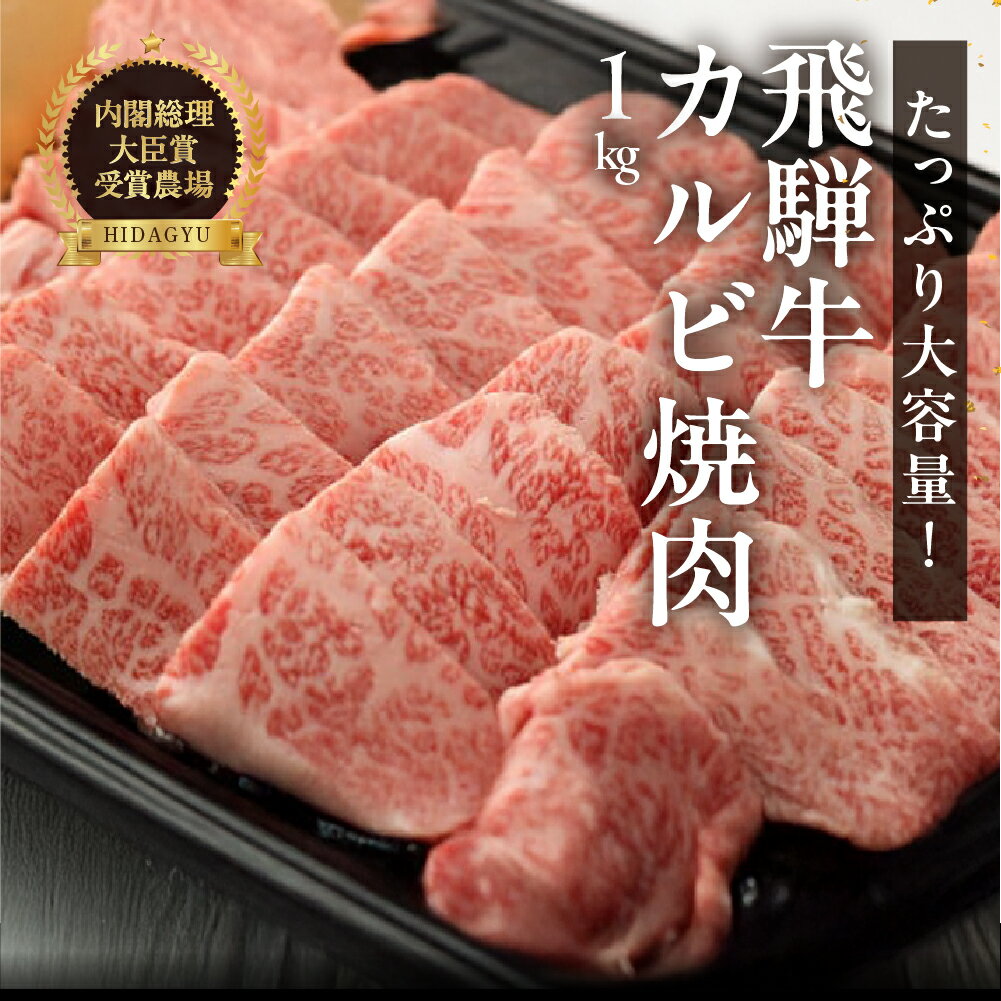 【ふるさと納税】たっぷり大容量！飛騨牛 カルビ焼肉用（1kg）【冷凍】最高級 国産 牛肉 肉 和牛 赤身 人気 ブランド牛 和牛 大容量 焼き肉 BBQ バーベキュー 下呂温泉 飛騨 ギフト 贈り物 贈答 赤身 霜降り
