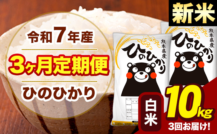 新米 令和7年産 【3ヶ月定期便】白米 米 ひのひかり 10kg《11月から出荷開始》熊本県 大津町 国産 熊本県産 白米 送料無料 ヒノヒカリ こめ お米---hn7tei_70500_10kg_nov3_oz_h---