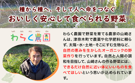 芋あかさきからいも 約5kg～6kg  わらく農園《11月中旬-11月下旬頃出荷》