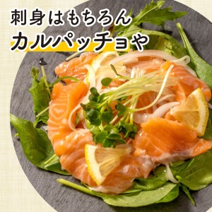 【価格改定予定】サーモン 切り落とし 500g お刺身可 便利な小分け 250g 2パック ノルウェー産 冷凍 沼津 静岡県 ( ｻｰﾓﾝ 刺身 ｻｰﾓﾝ 刺身 ｻｰﾓﾝ 刺身 ｻｰﾓﾝ 刺身 ｻｰﾓ