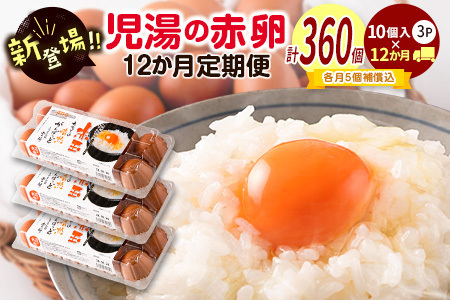 【定期便 12か月】 卵 30個 E253