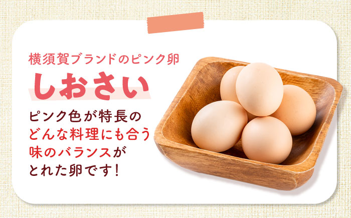 【数量限定】安田養鶏場の卵 しおさい 30個入り 横須賀市 産地直送 たまご 黄身 濃厚 卵 玉子 タマゴ 鶏卵  【安田養鶏場】 [AKHN001]