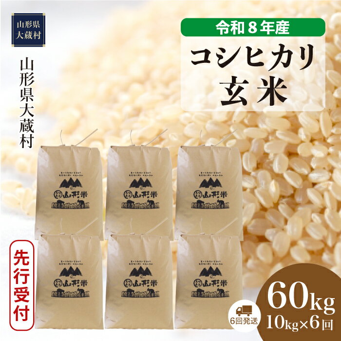 【ふるさと納税】＜令和8年産米先行受付＞ 大蔵村 コシヒカリ ＜玄米＞ 定期便 60kg （10kg×1ヶ月間隔で6回お届け）