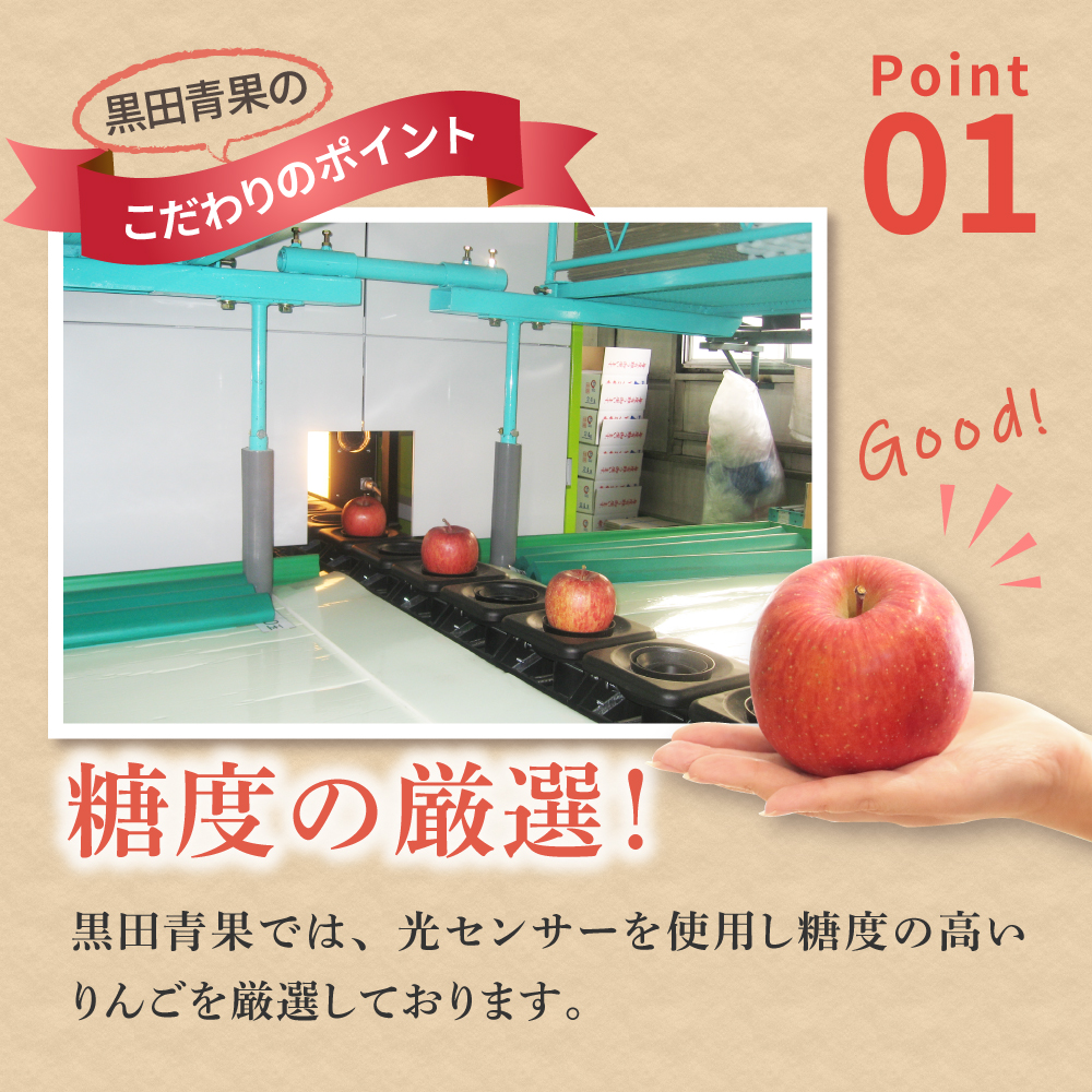【2026年2月後半発送】 りんご 約3kg ≪丸福≫ サンふじ 【光センサー選果 糖度13度以上】 青森県産