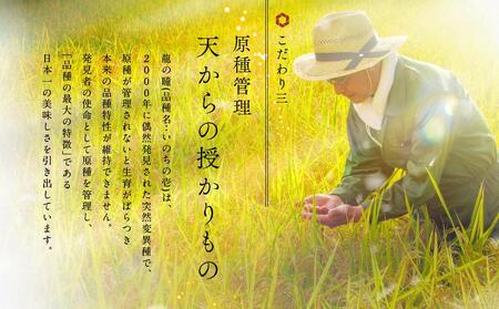 【2023年産 令和5年度産】 龍の瞳 いのちの壱 ブランド米 白米 お米 米 飛騨産 (高山市産) 2kg 株式会社龍の瞳 ML011