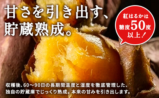【選べる】冷凍 焼き芋(安納芋1kg) さつまいも 芋 冷やし焼き芋 ストック 腸活 おやつ 間食 人気 国産 自然食品 (a0001-A1) 安納芋1kg
