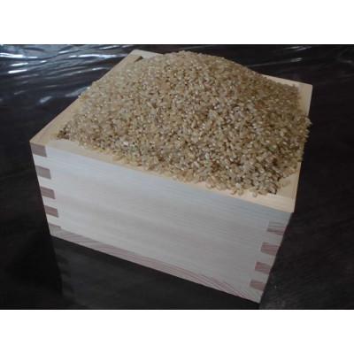 ふるさと納税 上郡町 【栽培期間中農薬不使用】『タガメの里自然米』2025年産「ぴかまる」玄米10kg