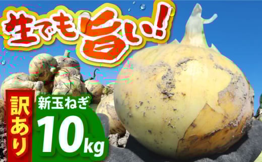 【今が旬!】 訳あり 新玉ねぎ 10kg 　【えぐちファーム】 不揃い たまねぎ [HDE002]