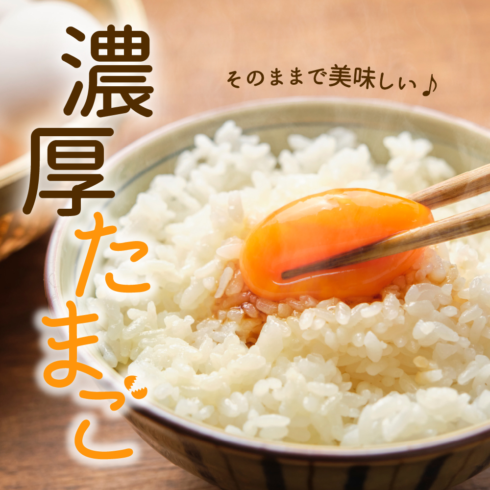 【毎月定期便】いではのもみじ紅50個入り（破損補償5個を含む）×6回