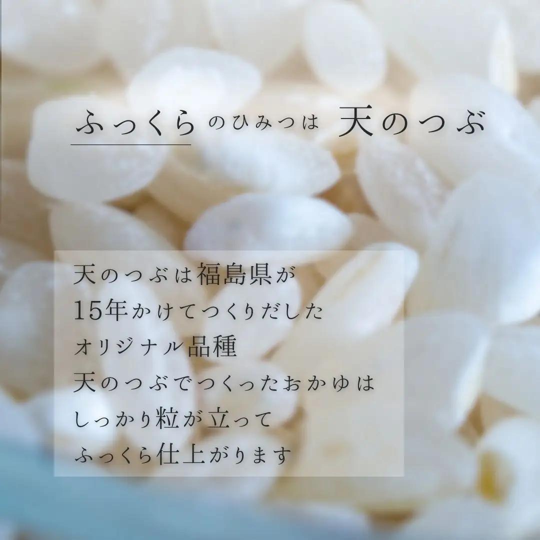 ふっくら白がゆ 250g×20パック 無添加 国産100% | お粥 レトルト 天のつぶ