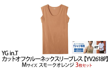 【YV2618P】グンゼ 3枚セット YG in.T Mサイズ 下着 肌着 グンゼ