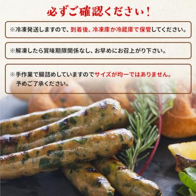 ふるさと納税 香南市 ニラソーセージ 2袋 合計10本 on-0020 |  | 02