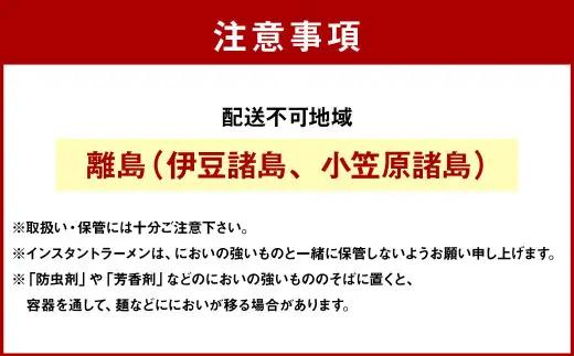 【6回定期便】 でっかいやきそば弁当 258g×12個（1ケース） やきそば 焼きそば 特盛 増量 中華スープ付き お取り寄せ