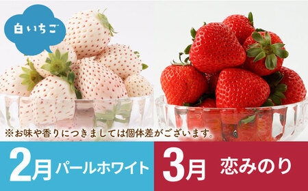 【R8年2月以降発送】【6回定期便】いちごと牛肉の贅沢定期便 / いちご 牛肉  [IZZ009]