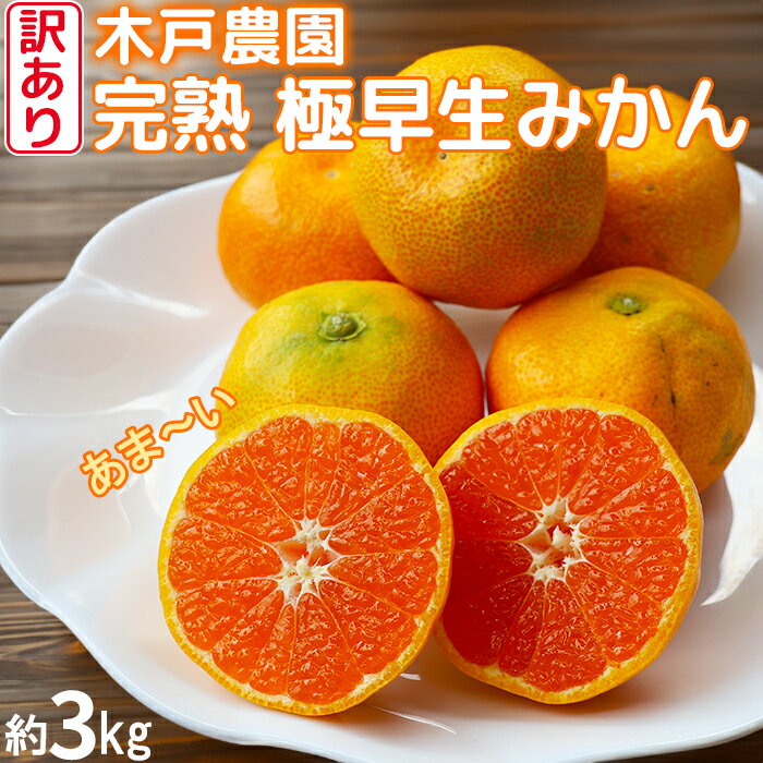 【ふるさと納税】【訳あり品】完熟極早生みかん！木戸農園の「おおいた早生 約3kg」 ミカン みかん 柑橘 3kg 先行予約 10月 11月 フルーツ ＜113-013＞