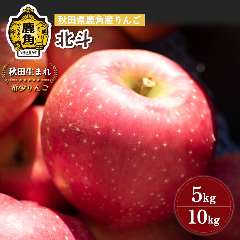 【ふるさと納税】《先行予約》りんご 贈答用 北斗 5kg / 10kg 秋田県 鹿角産 食感 果汁 リンゴ 完熟 旬 県産 りんご お中元 お歳暮 贈り物 グルメ ギフト 故郷 秋田 あきた 鹿角市 鹿角 送料無料 【山麓園】