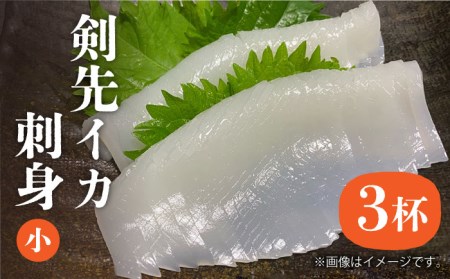 剣先イカ 刺身 （小） 3杯  [JEW002] イカ