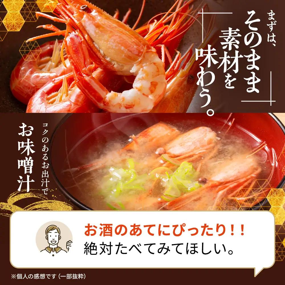 北海しまえび 500g (1パック) えび 【AV】