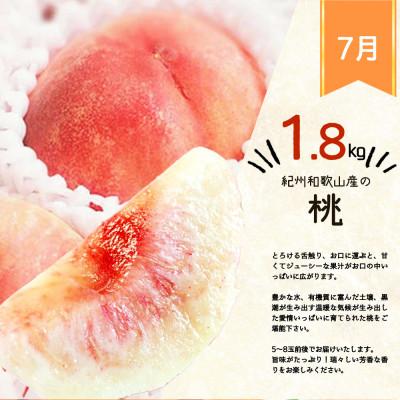 ふるさと納税 日高町 【発送月固定定期便】紀州和歌山産旬のフルーツセット(桃・シャインマスカット・ひらたねなし柿)全3回 |  | 01