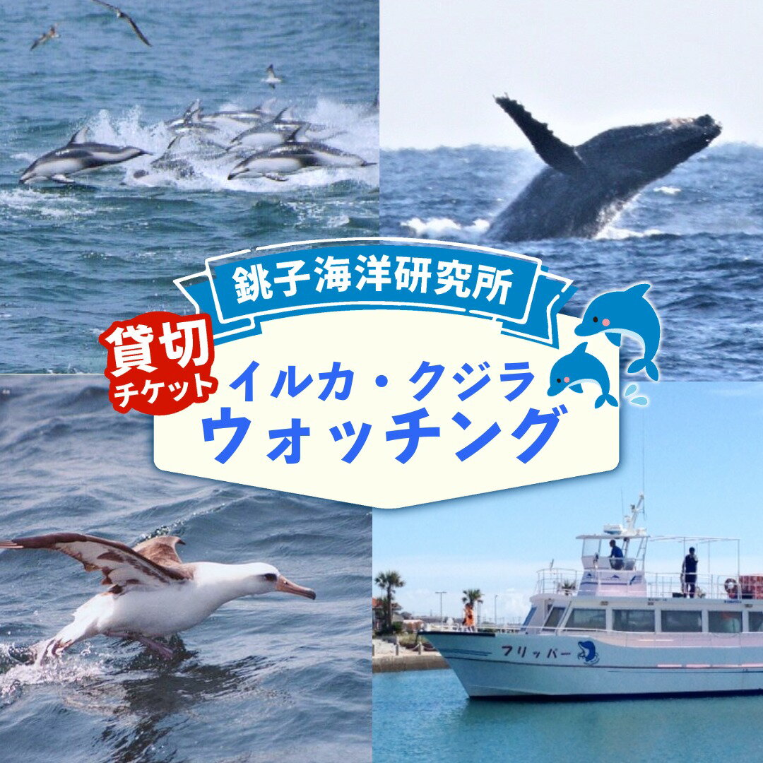 【ふるさと納税】 【 貸切 】 沖合 イルカ・クジラウォッチング 貸切チケット イルカ クジラ チケット 船 お手軽 体験 体験型 予約 観光 観光チケット 貸し切り 乗船券 クルーズ 千葉県 銚子市 銚子 送料無料 ふるさと納税 ふるさと納税イルカウオッチング 銚子海洋研究所