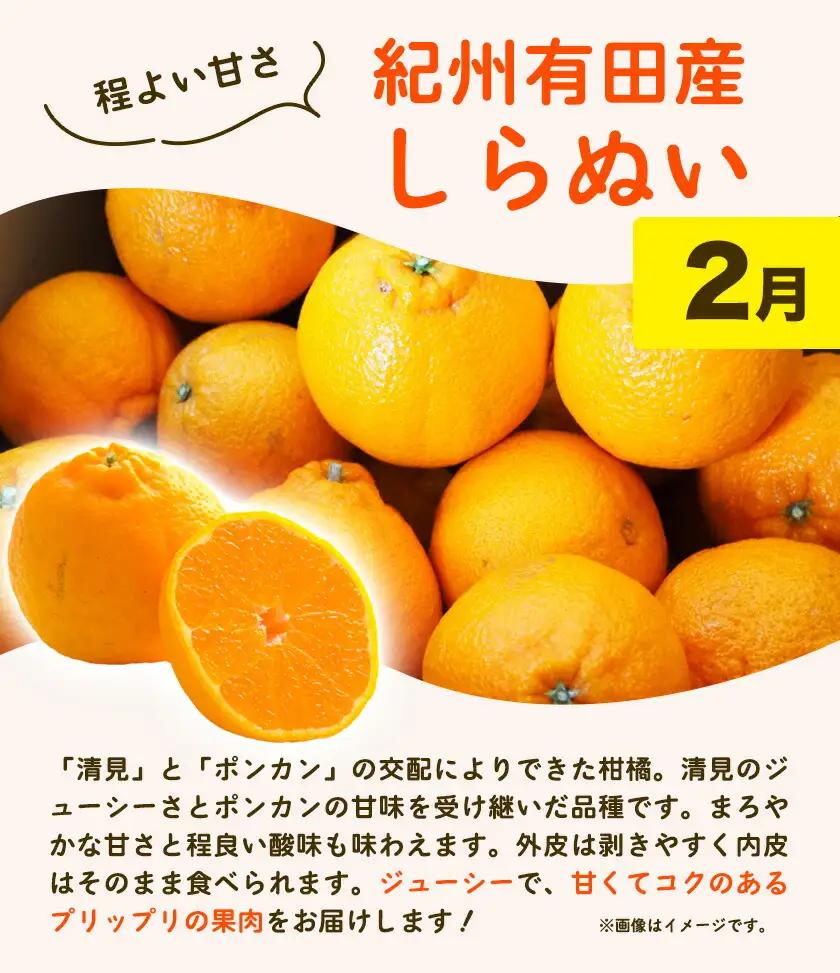 紀州 和歌山産 旬の ご家庭用 柑橘 セット M (みかん 不知火 清見)【全３回】 株式会社魚鶴