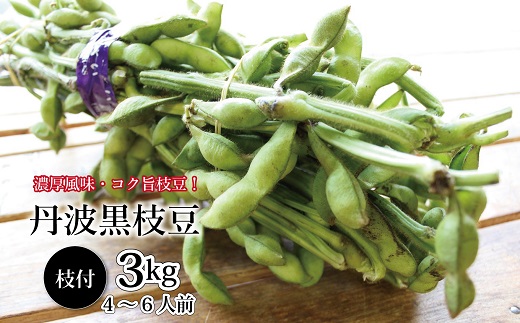 《先行予約》丹波黒枝豆 枝付き 2kg （京都 京丹波町産 丹波黒大豆）≪秋だけの期間限定 数量限定≫【季節限定 おつまみ 枝豆 えだまめ 地域限定 黒豆 ご当地グルメ 特産品】※北海道・沖縄は配送不可 [011KK001L]