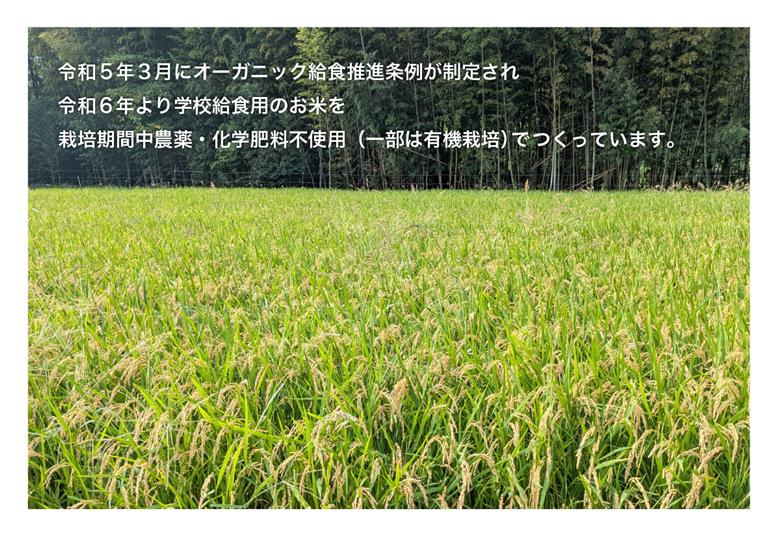 綾町の有機米 3kg_0004-100