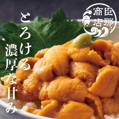 ふるさと納税 根室市 エゾバフンウニ(赤色等含む)塩水パック100〜110g×1パック A-22001 |  | 01