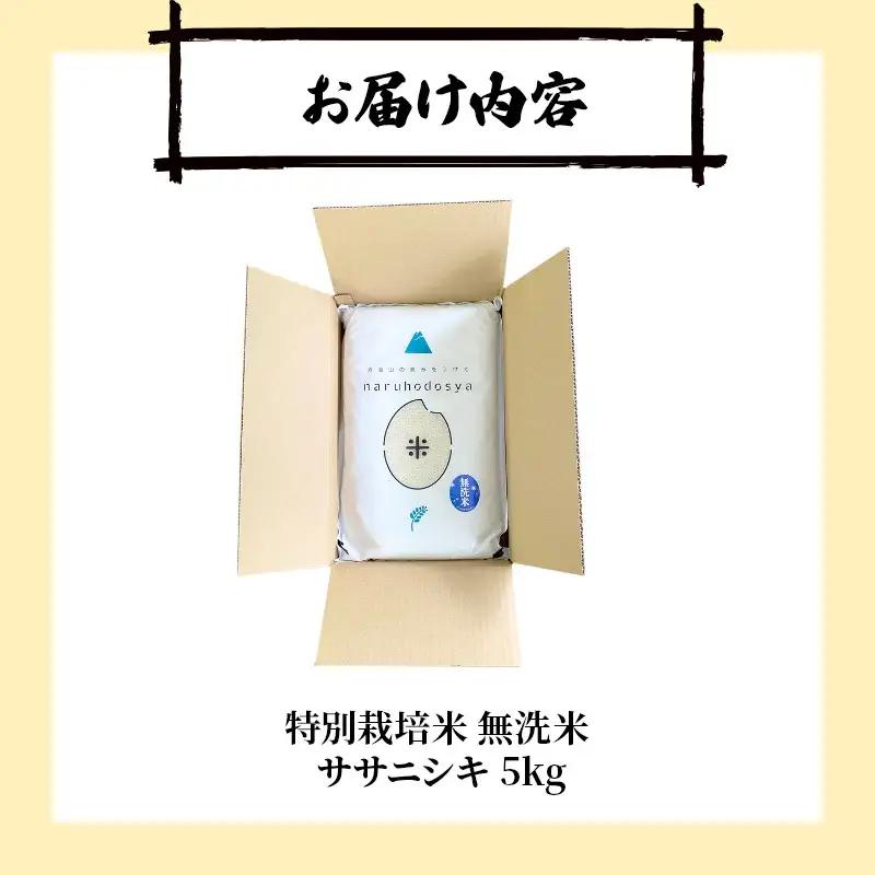 ササニシキ 特別栽培米 無洗米 秋田県産 ササニシキ【5kg】【先行予約】